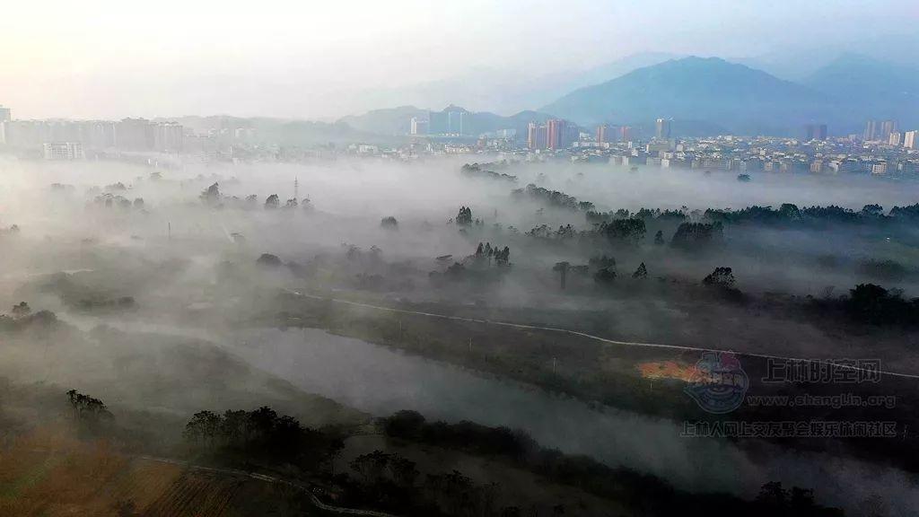 道路交通连连看第三章