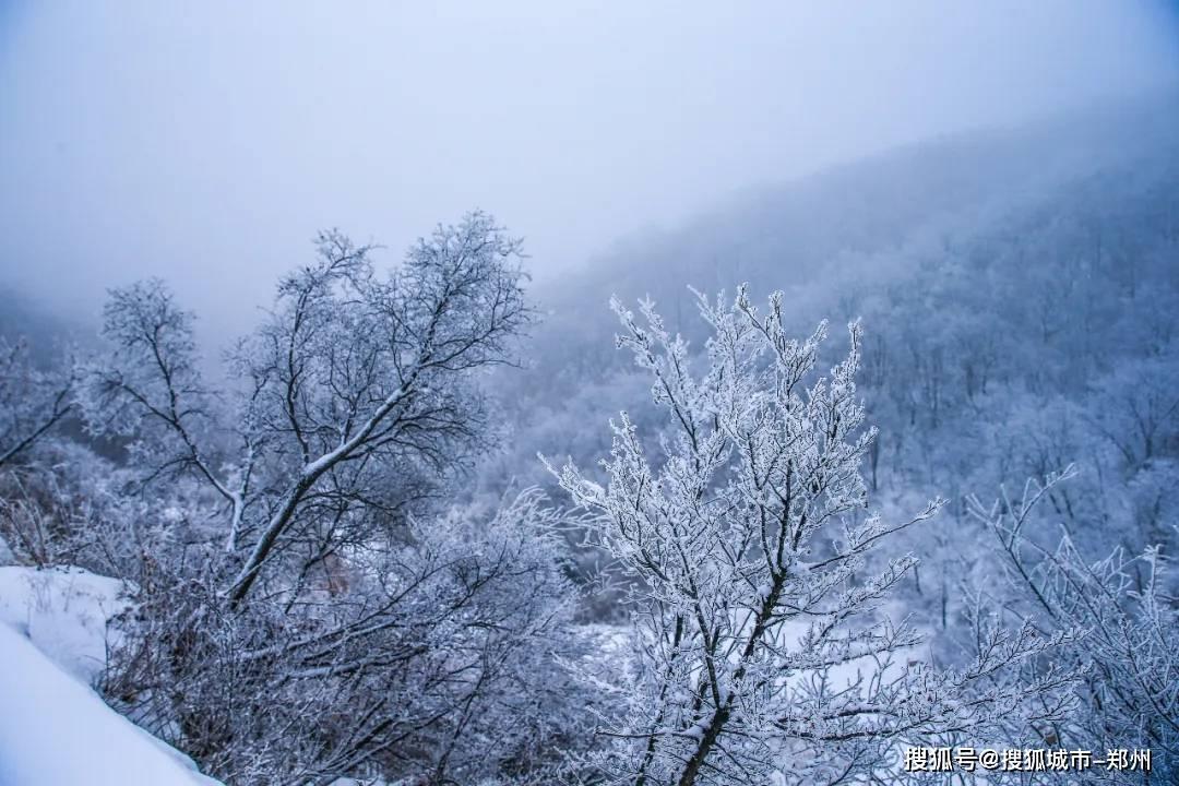 逃离可爱村落