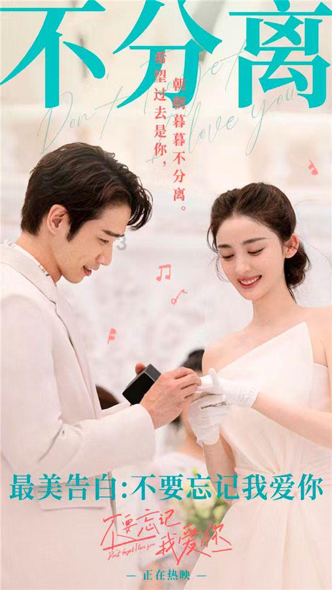 小猫钓鱼正版下载中文版