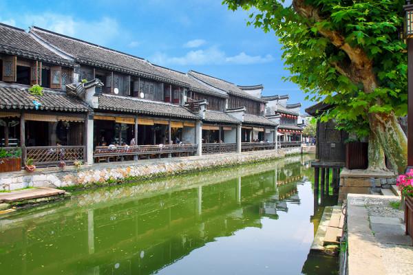 临沭法院:执行再亮剑,拘传拘留19人