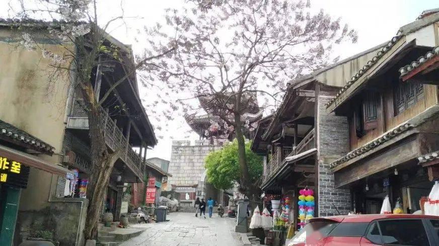 救援快乐的兔子